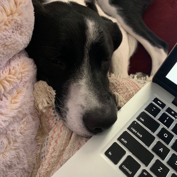 Meet your Posher, Despina - Picture 5 of 7